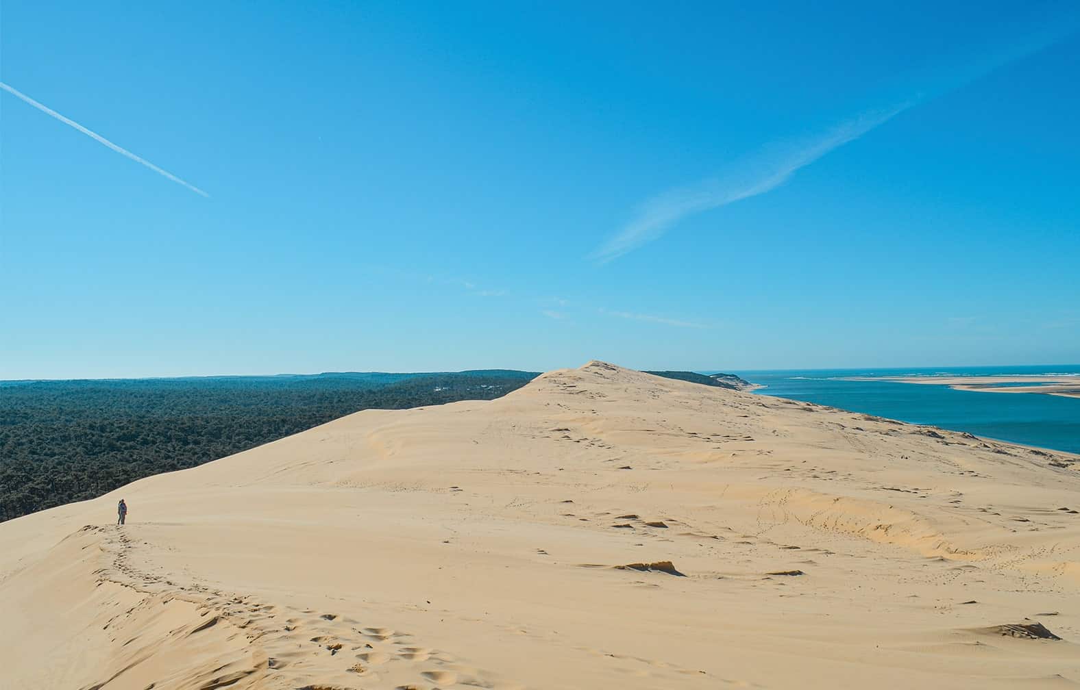 sommet de la dune du Pilat